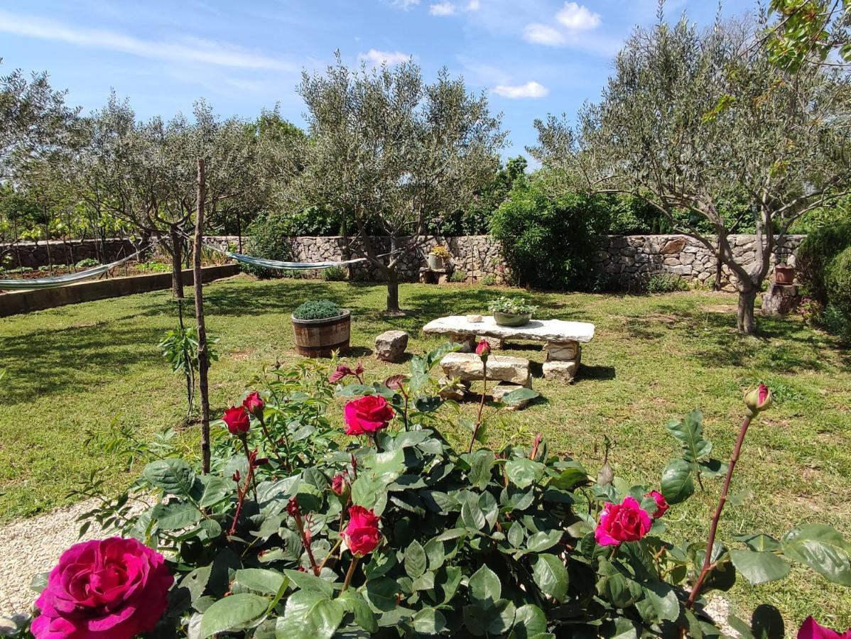Bristane House Kuna מראה חיצוני תמונה